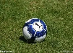 高迪,迈向职业生,涯巅峰,太阳城,太阳城娱乐,太阳城app,太阳城赌场